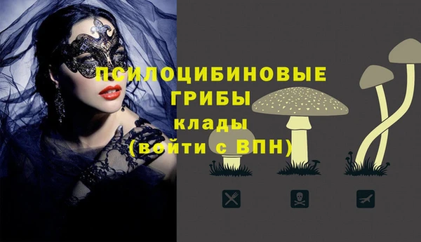каннабис Медвежьегорск