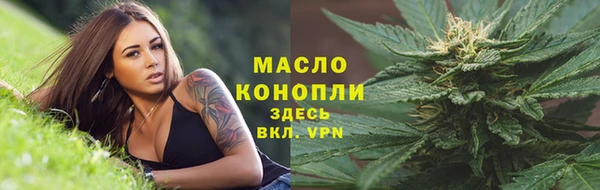 индика Михайловск