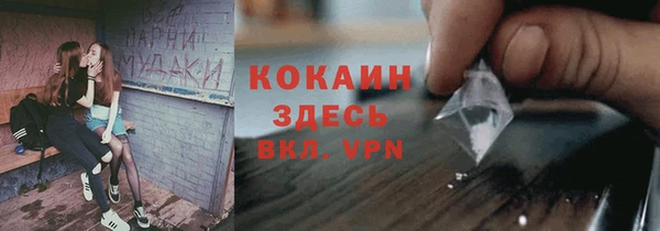 кокс Михайлов