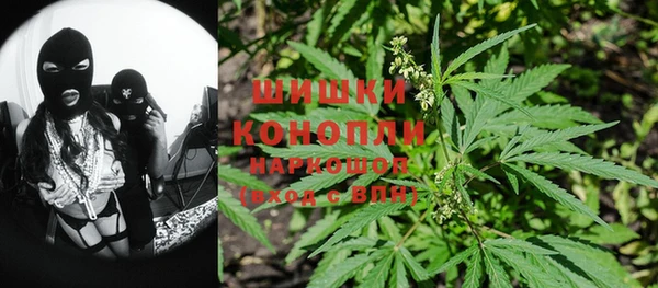 кокс Михайлов