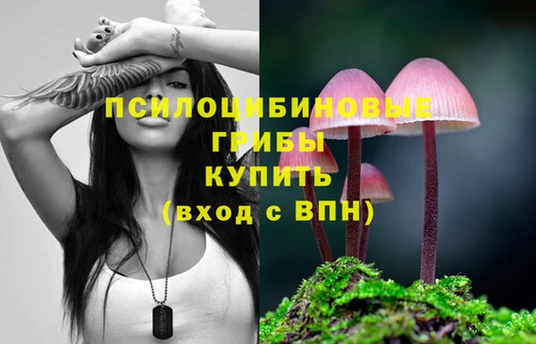 каннабис Медвежьегорск