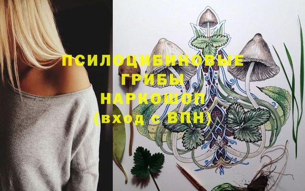 спайс Бабаево