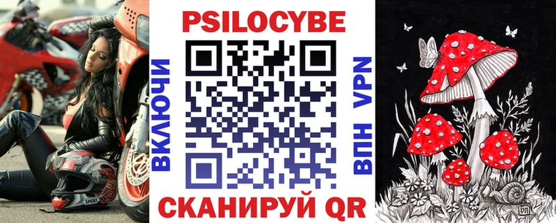 блэк спрут ссылки Красный Кут Галлюциногенные грибы MAGIC MUSHROOMS